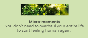 Micro-moments nota a full life overhaul.